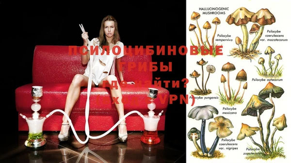 крисы Болохово