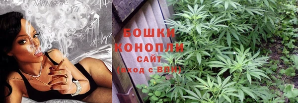 крисы Болохово