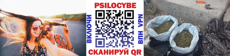 Псилоцибиновые грибы мицелий  Гаджиево 