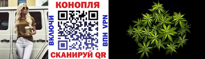 хочу   Гаджиево  Каннабис VHQ 